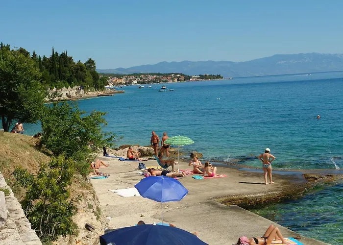 Novakovic *